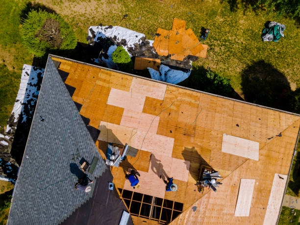 Best Roof Maintenance Services  in Meridian, TX