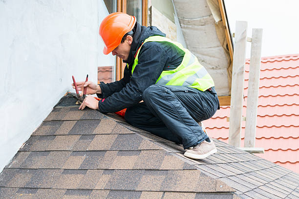 Best Roof Repair Services  in Meridian, TX