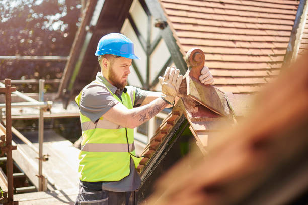 Best Roof Leak Repair  in Meridian, TX